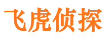 海南州调查事务所